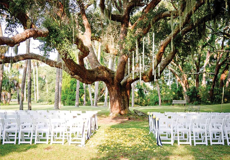 wedding ceremony setup below tree