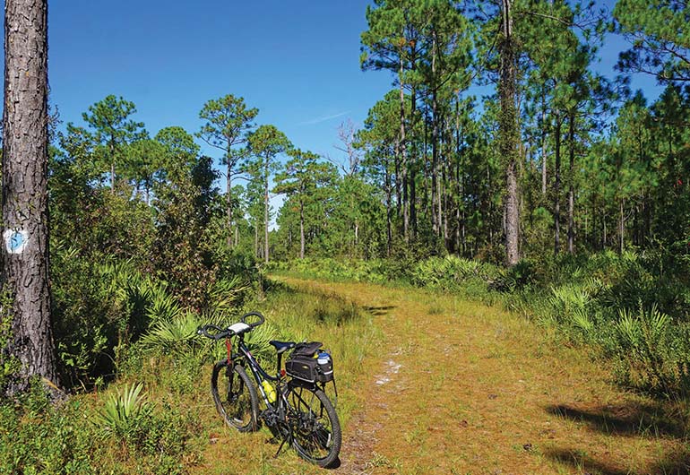 Pumpkin Hill Creek Preserve Off-Road Biking Trails